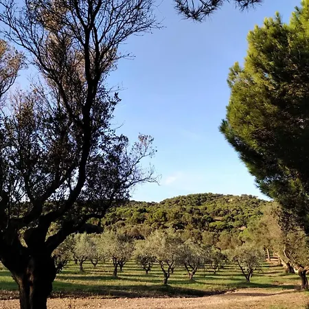Maison Les Lauriers Roses Vue Sur Le Maquis De Porquerolles 度假居 耶尔
